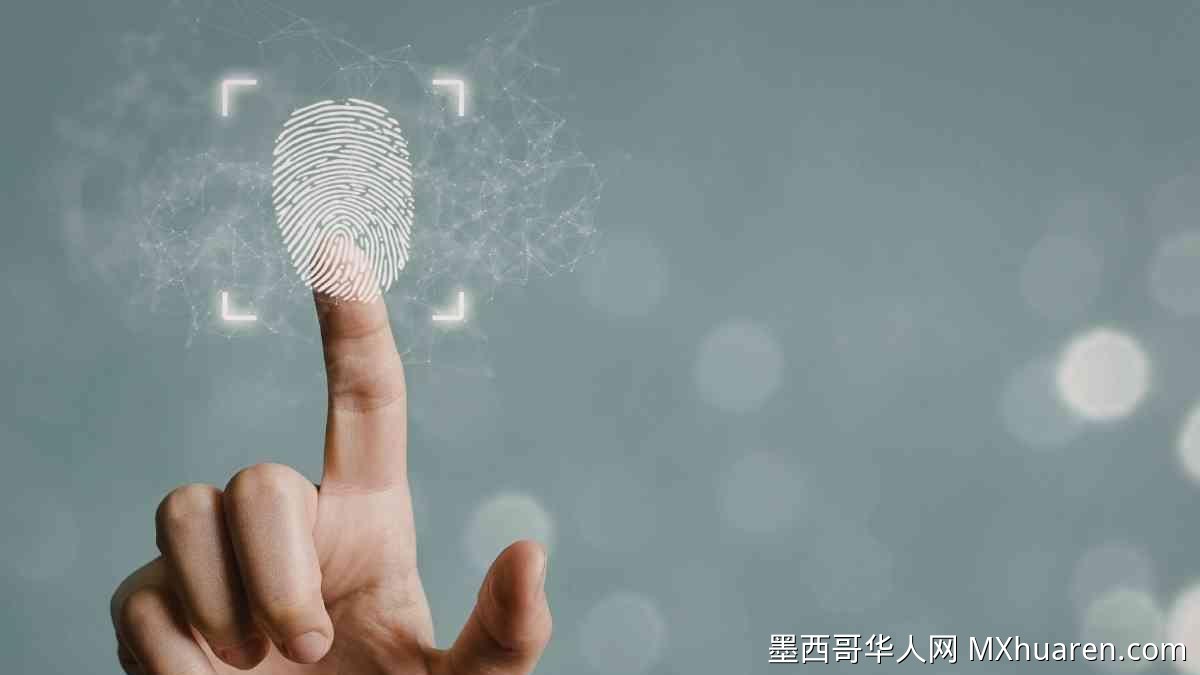 墨西哥国家选举委员会协助寻找四万失踪者