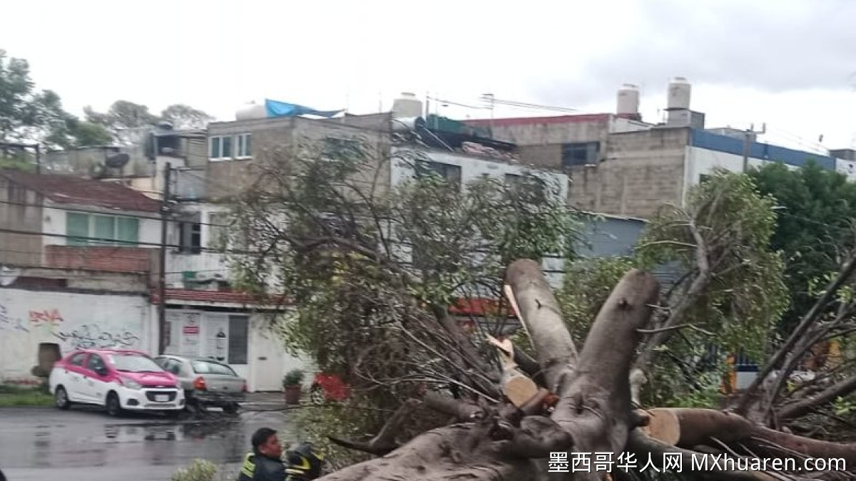 墨西哥城东南部再遭风暴袭击 多区积水树木倾倒