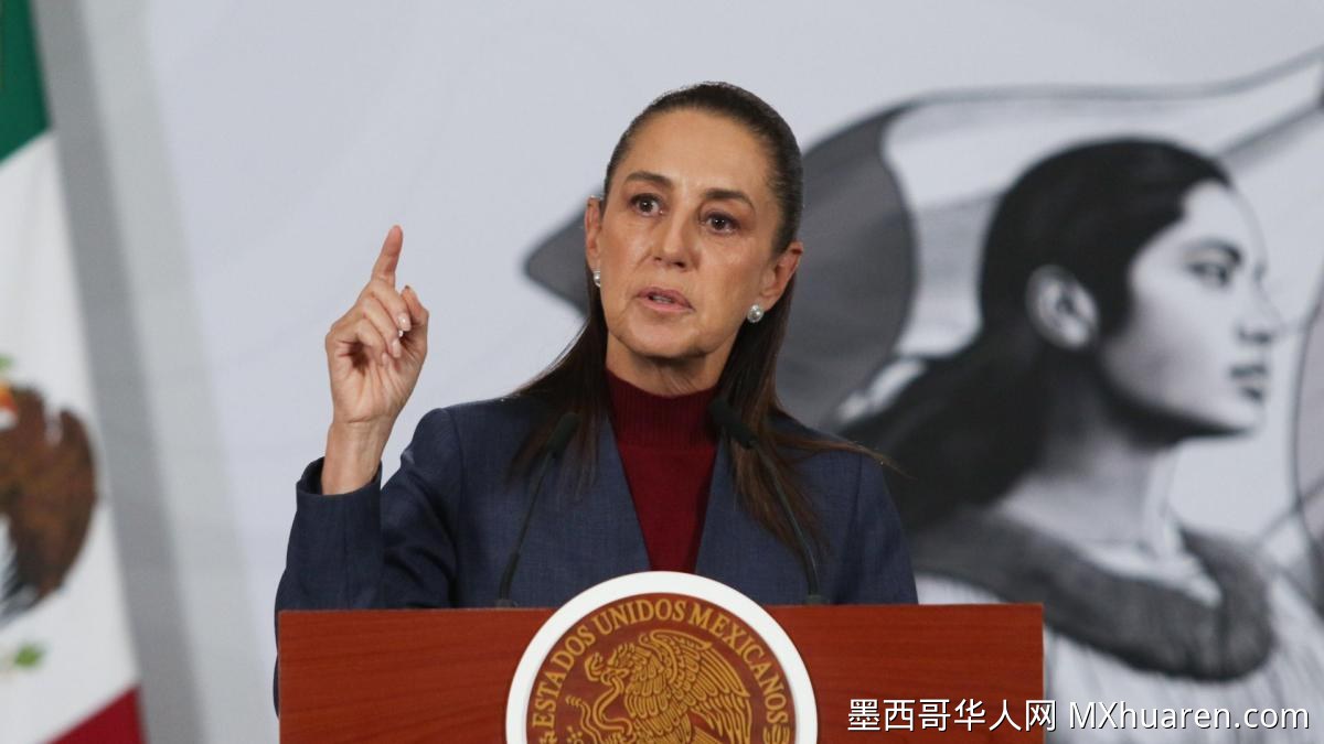 辛鲍姆回应“五月”贩毒案