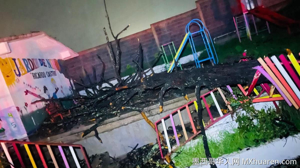 杜兰戈一幼儿园内大树倒塌 幸无人员伤亡