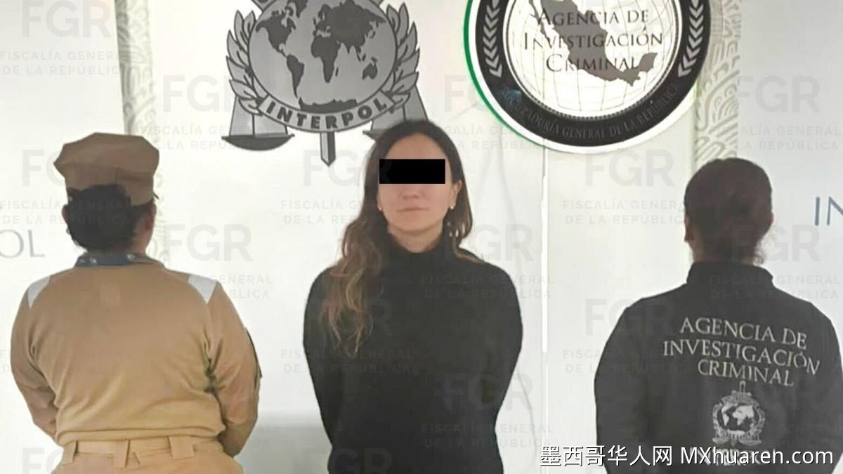 FGR在墨西哥城机场逮捕涉洗钱案 埃米利奥·洛萨oya妹妹落网