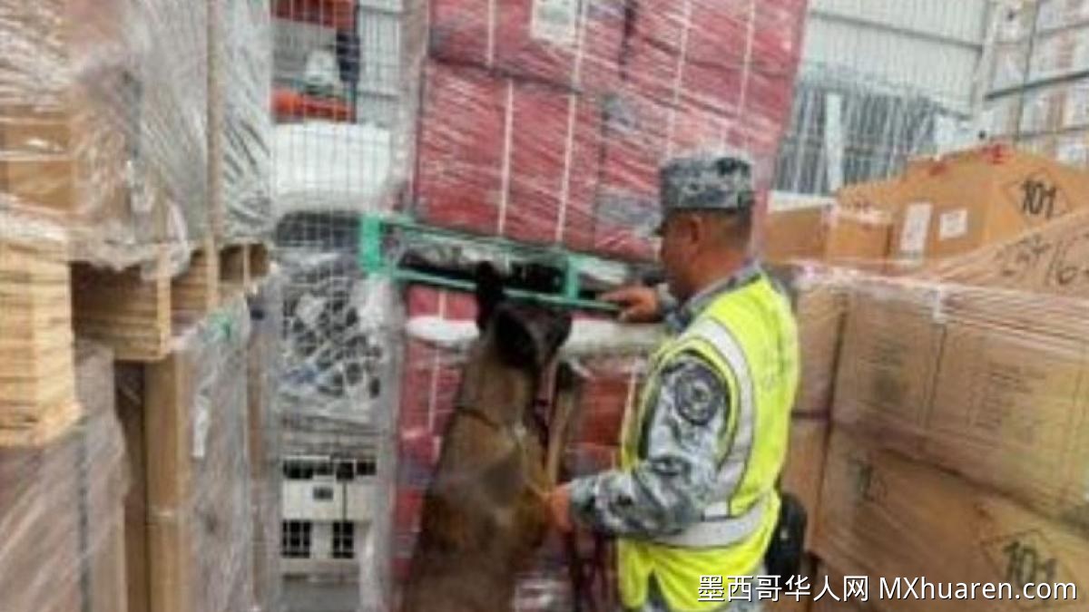 墨西哥AIFA机场查获8.4万支非法香烟 来自比利时