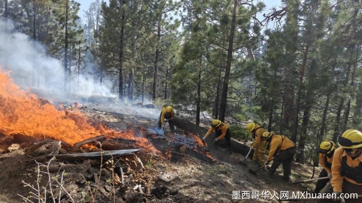 下加利福尼亚州国家公园火灾蔓延40公顷 灭火工作持续推进