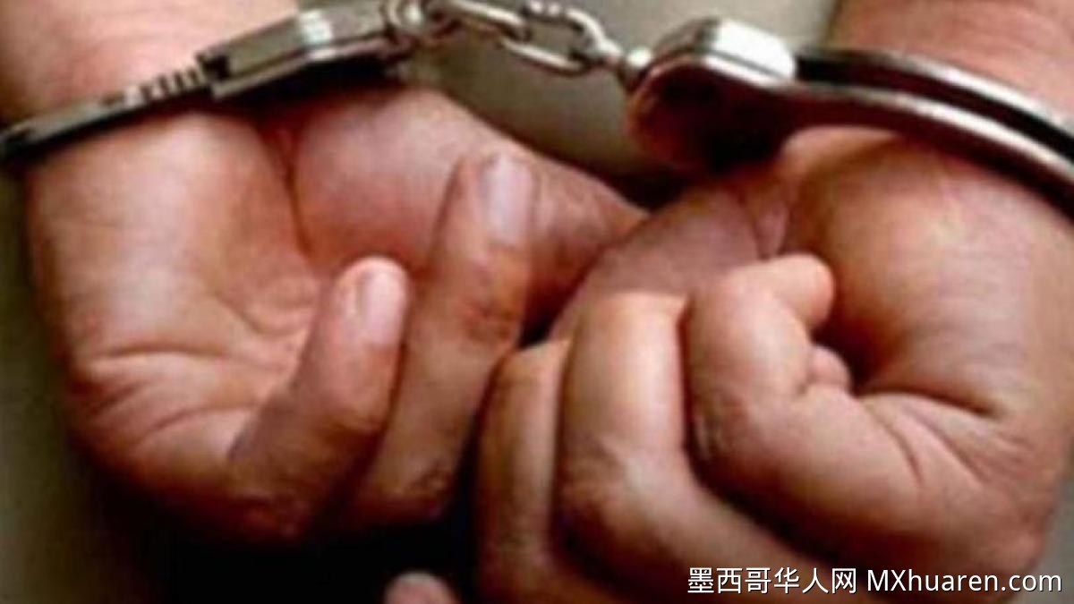 逆子为骗保金弑母被捕