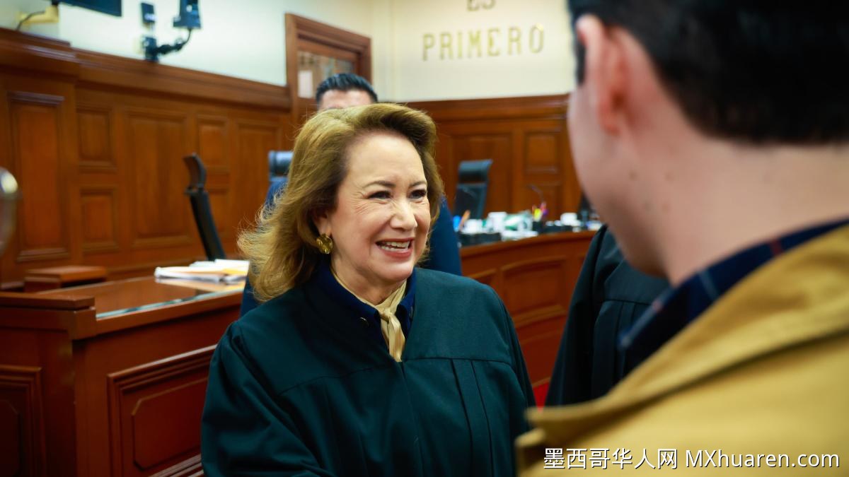 墨西哥律师节最高法院大法官会见律师代表