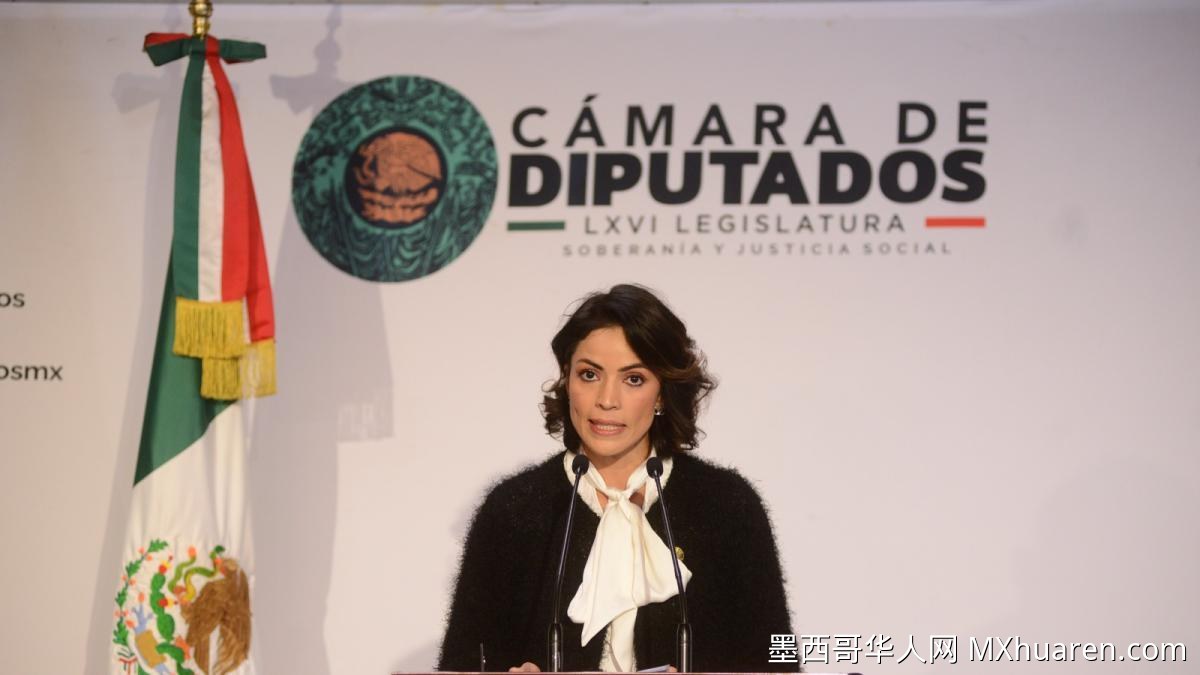 蒂华纳性侵案引关注 绿党推动专项法案将生效