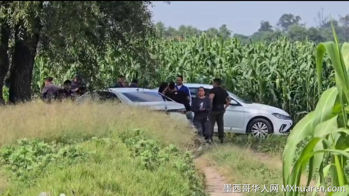 特拉斯卡拉玉米田惊现焦尸 警方封锁现场调查
