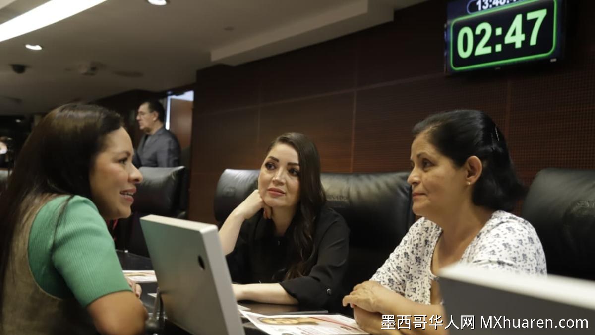 前Pemex高管被诉 绿色生态党促建专门检察院