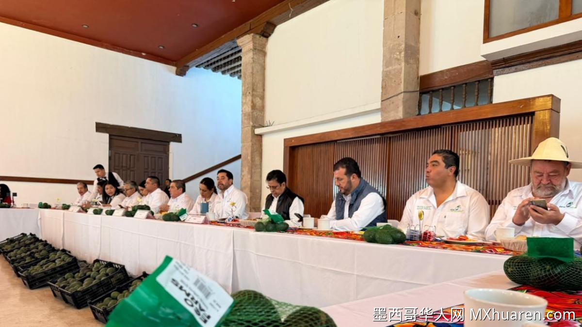 牛油果农指控美国企业抵制墨西哥出口