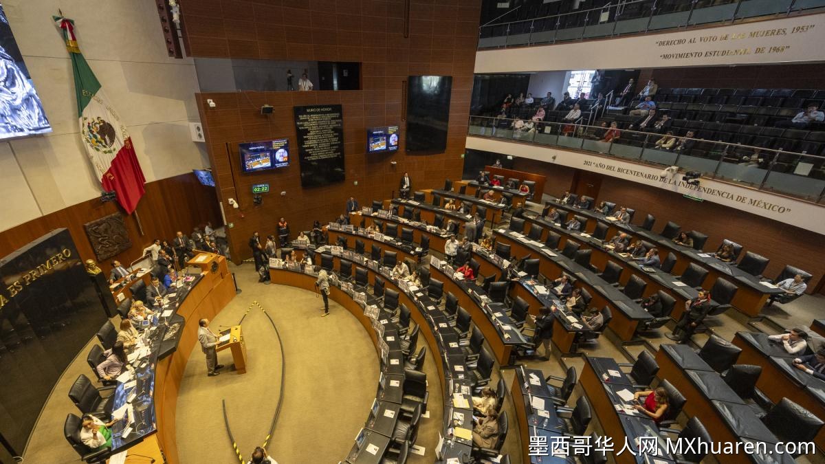 只领钱不开会！墨西哥参议院84%委员会休会期间违规