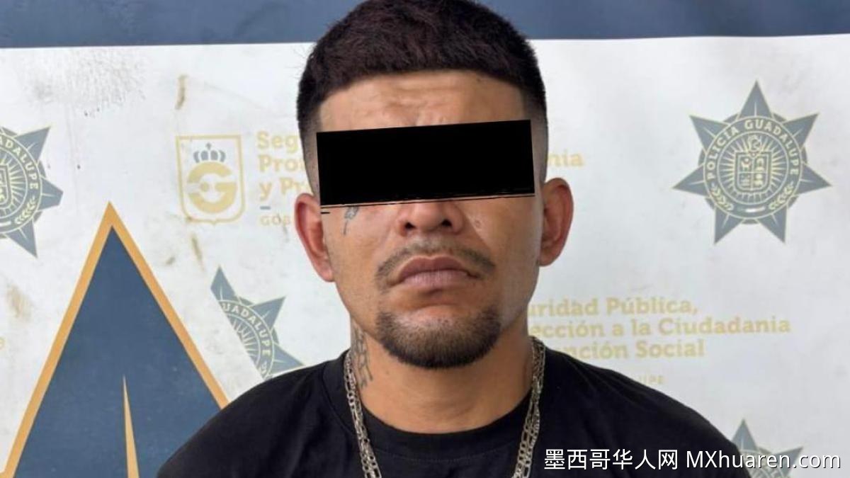 新莱昂州两人涉嫌持有AR-15步枪被捕