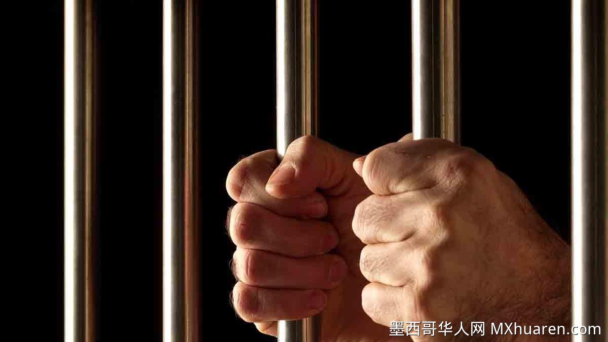 墨西哥城警方破获汽车盗窃团伙 成员落网