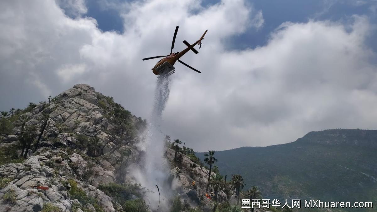 新莱昂州雷击引发山火 直升机空中洒水扑灭