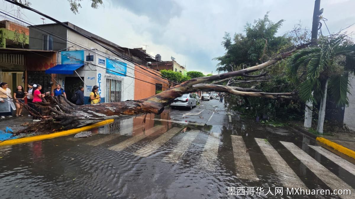 暴雨致洪涝！瓜达拉哈拉超百辆车被淹