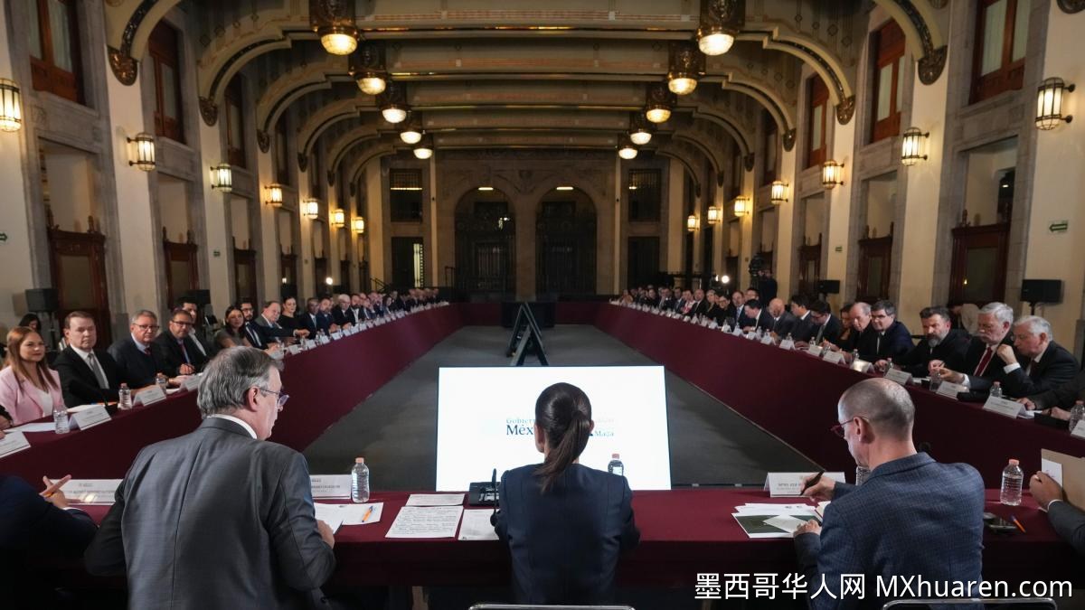 辛鲍姆吁企业家安心投资 共同推进“墨西哥计划”