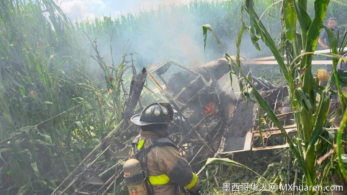 小型飞机克雷塔罗坠毁 飞行员奇迹生还