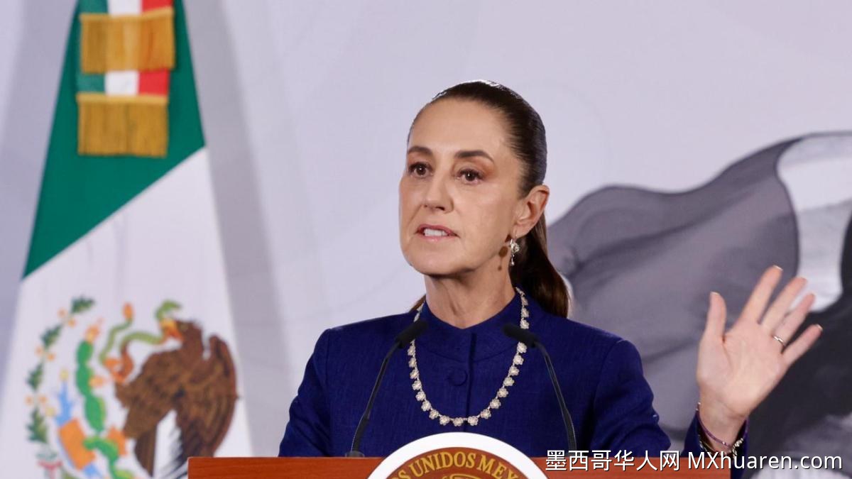 辛鲍姆指控美前大使撒谎 要求FBI解释萨姆萨达案