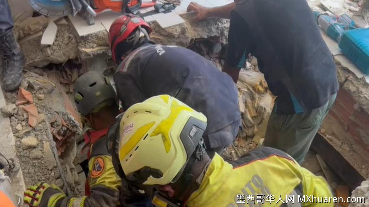 墨西哥军队援救委内瑞拉地震灾区 废墟中救出一只被困小狗