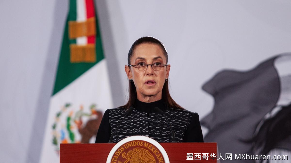 辛鲍姆批新党“我们是墨西哥”:旧政客的政党妄图复辟