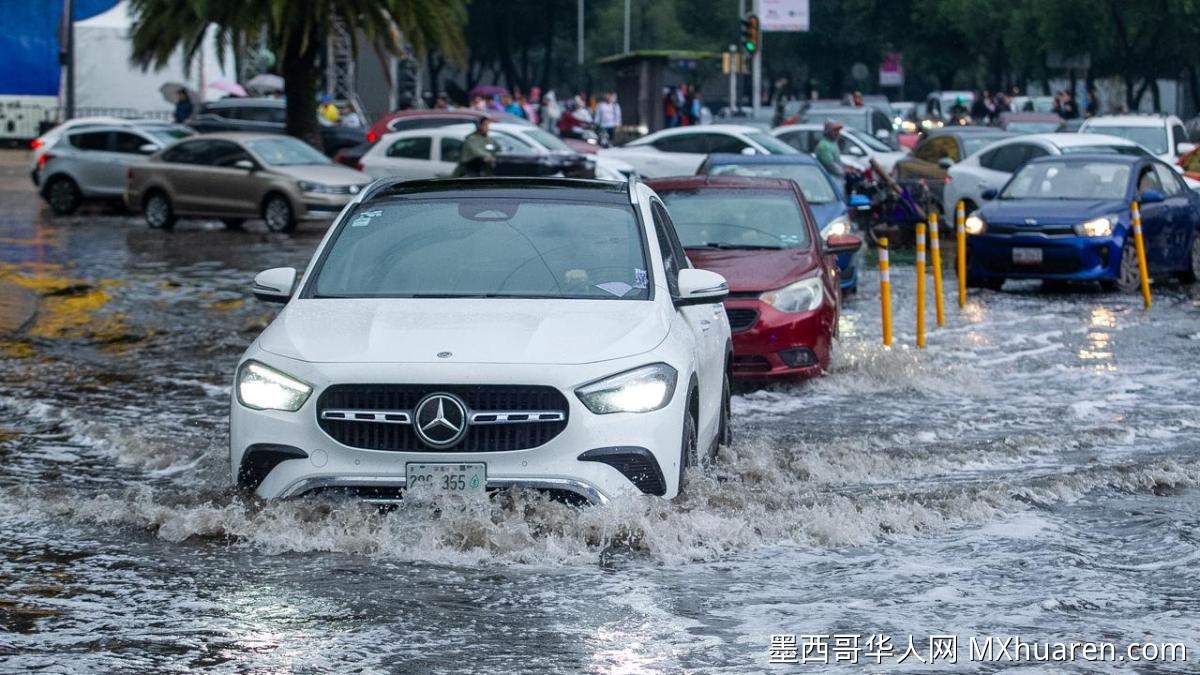 墨西哥城暴风雨引发积水及树木倒塌 交通受阻