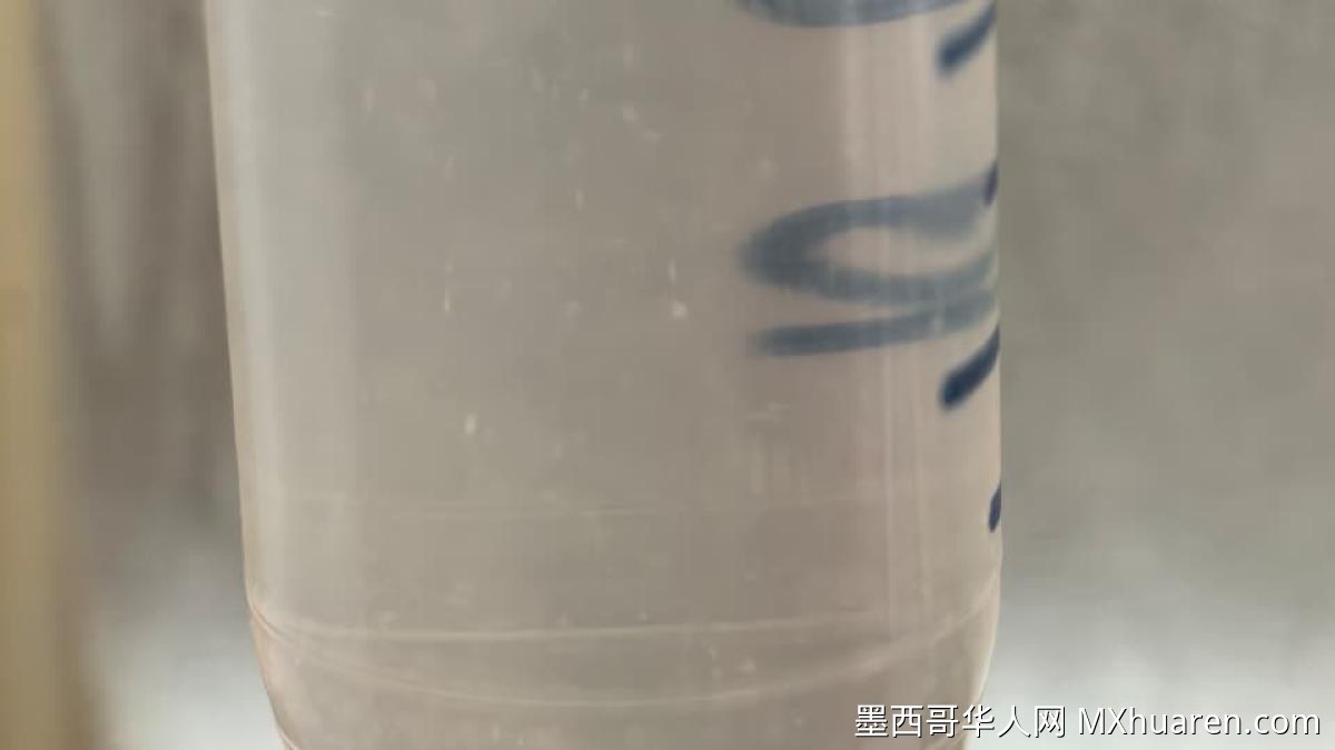 伊达尔戈州牛只蝇蛆病达942例 人类感染14例