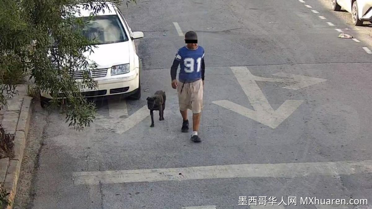 蒙特雷男子教唆恶犬咬人被捕