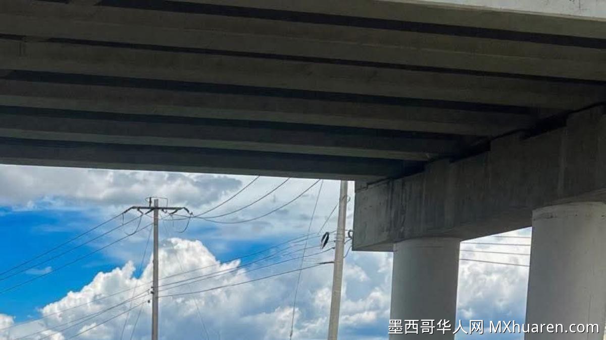 两名男子路边换轮胎遭撞身亡 肇事司机逃逸