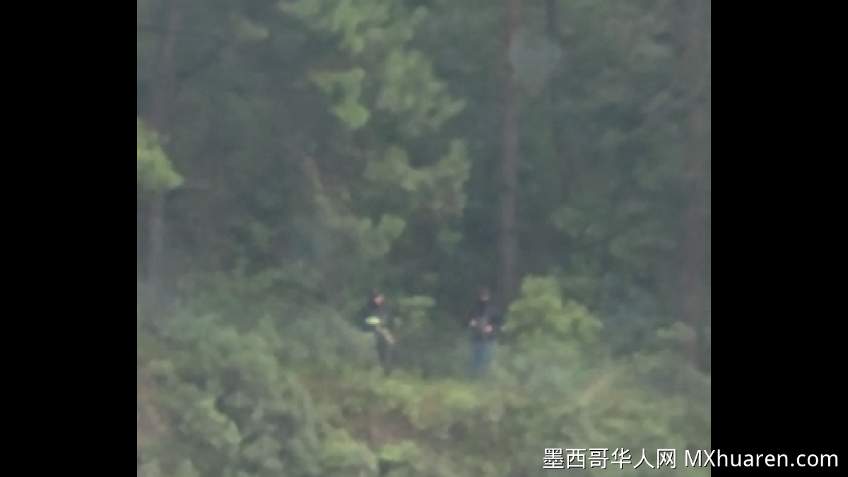 视频曝光:韦拉克鲁斯-普埃布拉公路惊现犯罪分子埋伏