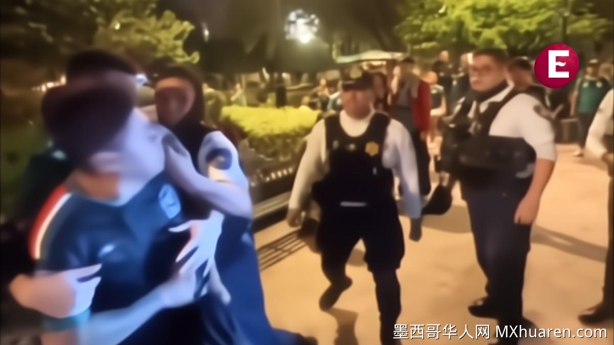 克雷塔罗警察拳击墨西哥队球迷 官方称零容忍
