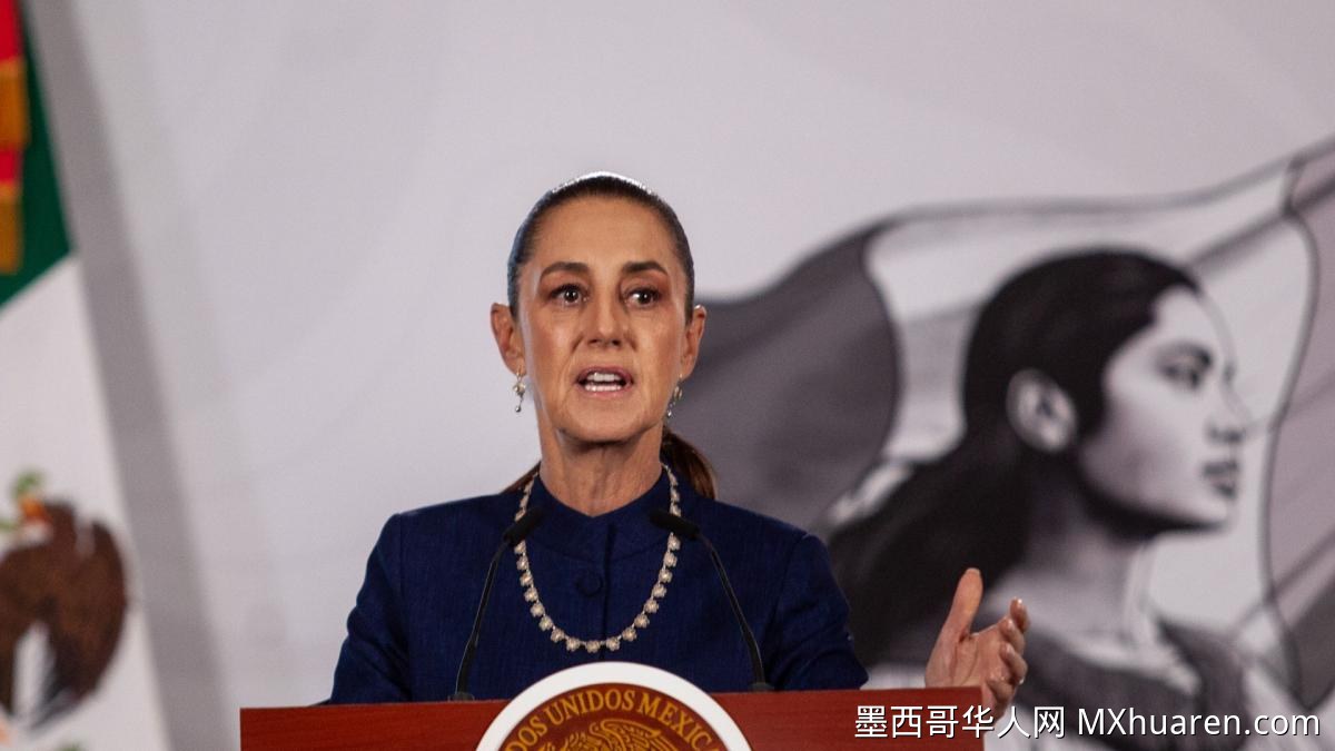 辛鲍姆：友情与公职都不能凌驾于法律之上