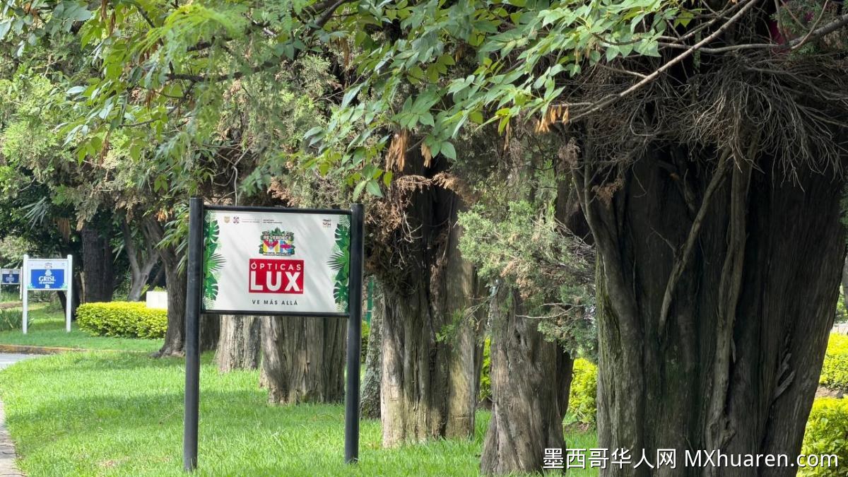 市长表彰Opticas Lux公司 助力米格尔·伊达尔戈区绿化